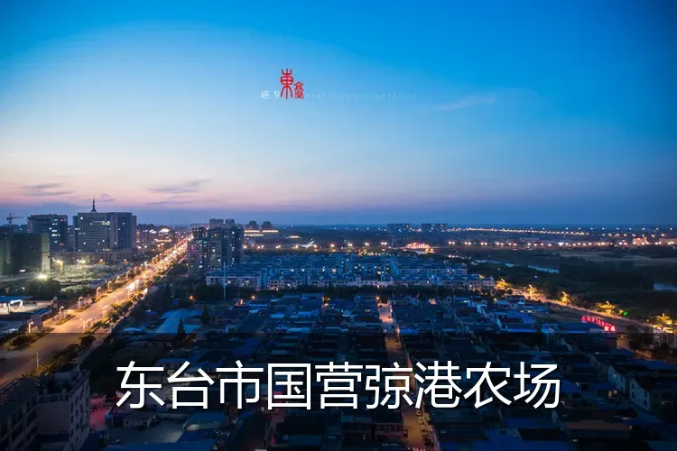 东台市国营弶港农场