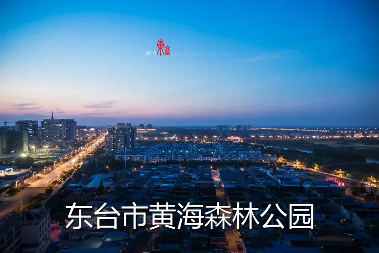 东台市黄海森林公园